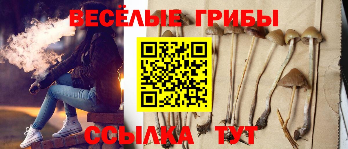 Вологда  Галлюциногенные грибы Psilocybe  Вход с VPN  Псилоцибиновые грибы Cubensis 